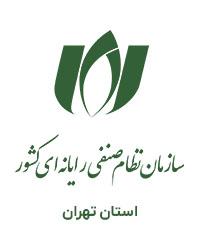 سازمان نظام صنفی رایانه ای